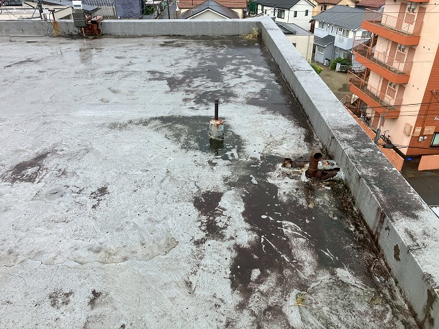 状態確認を実施した屋上